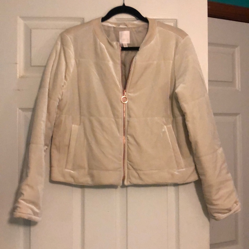 Lauren Conrad Suede Jacket